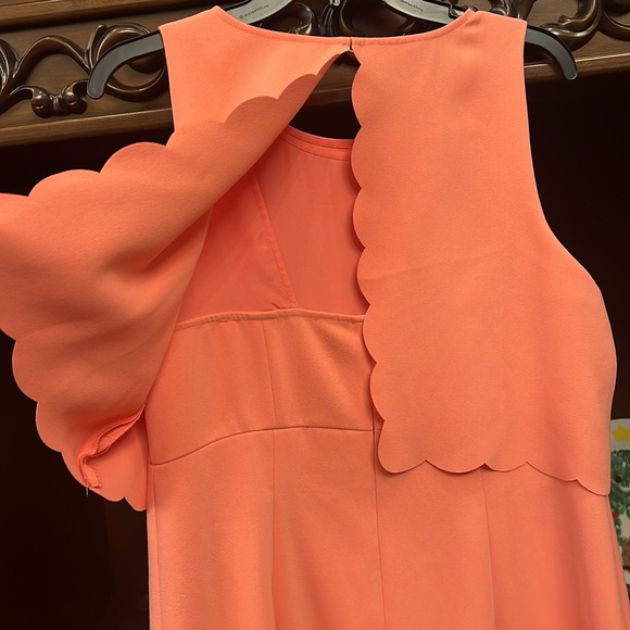 Scallop pink dress - Picture 5 of 7